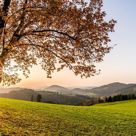 Sauerland Alpin Hotel Schmallenberg Eksteriør billede