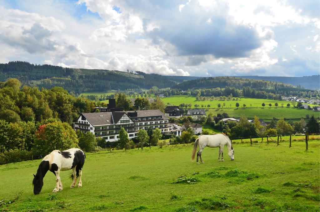 Sauerland Alpin Hotel Schmallenberg Eksteriør billede