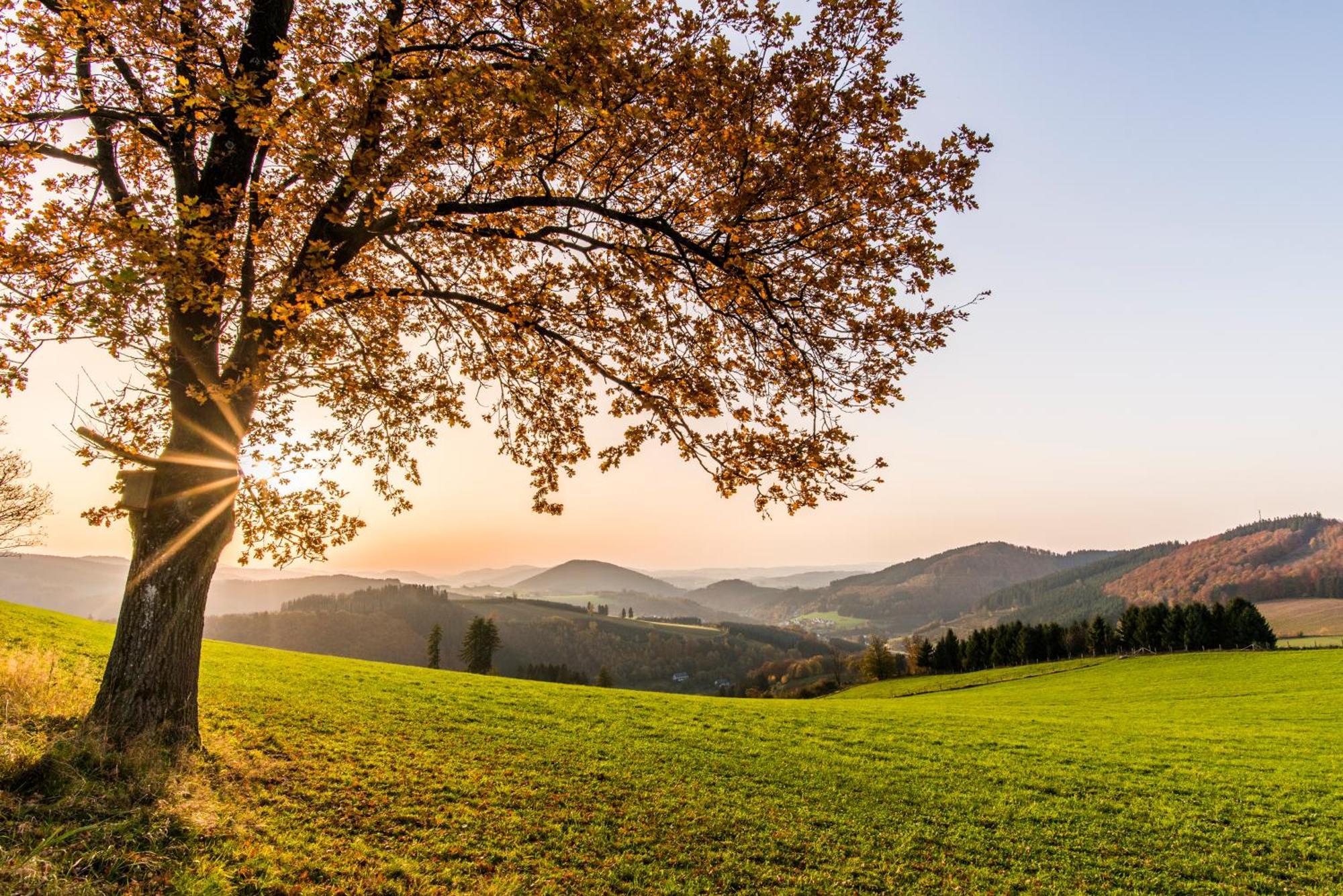 Sauerland Alpin Hotel Schmallenberg Eksteriør billede