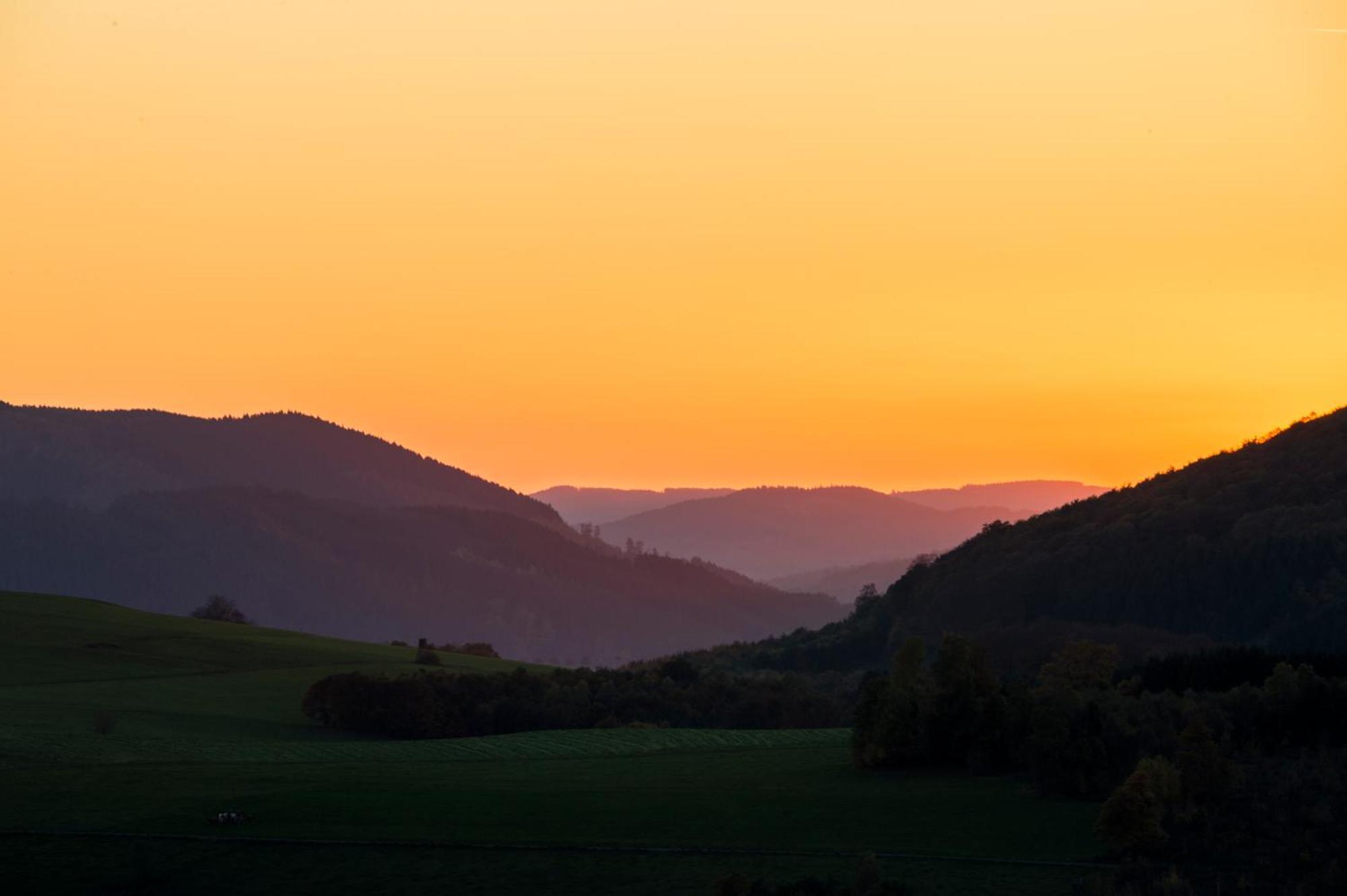 Sauerland Alpin Hotel Schmallenberg Eksteriør billede