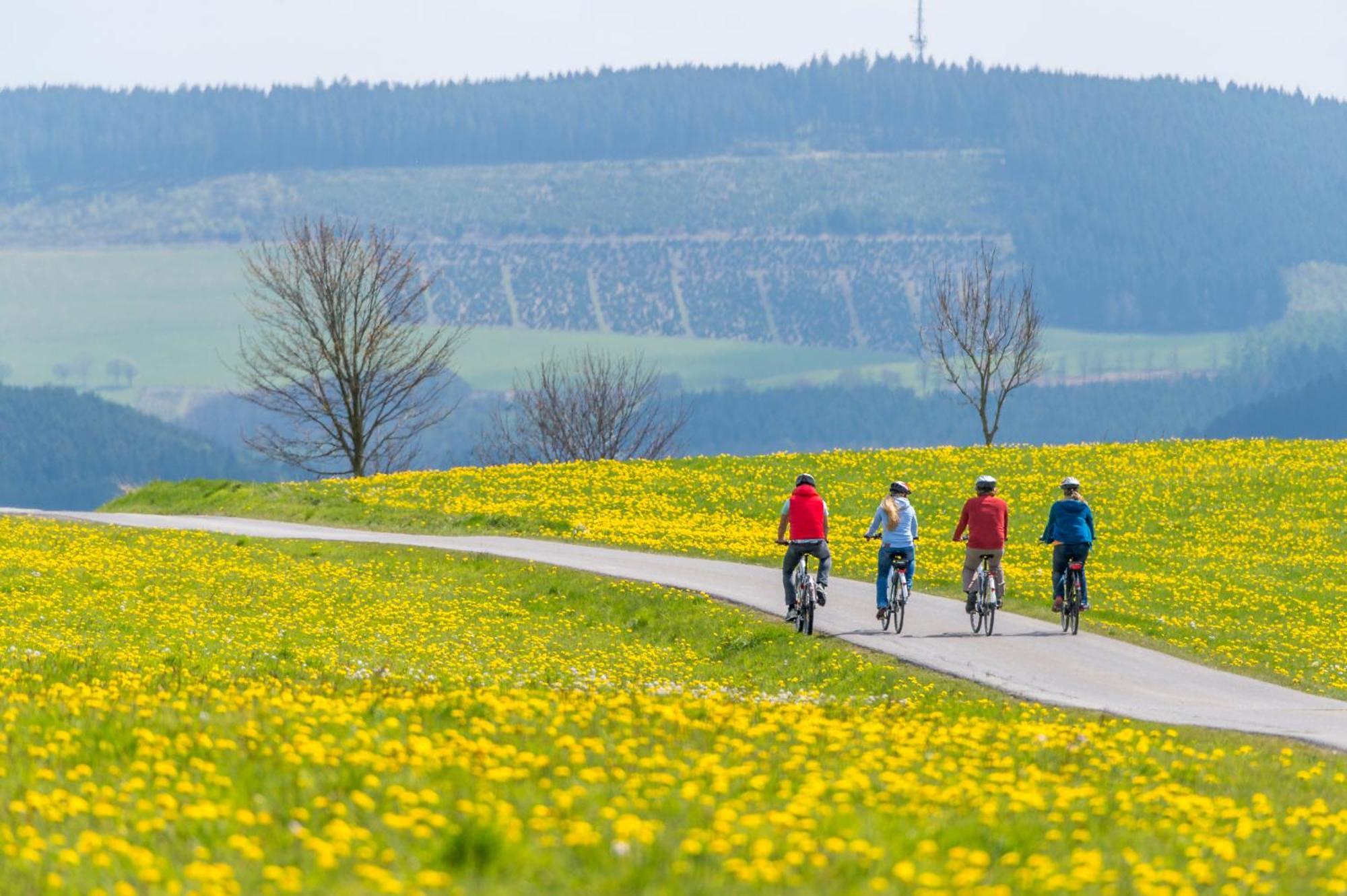 Sauerland Alpin Hotel Schmallenberg Eksteriør billede